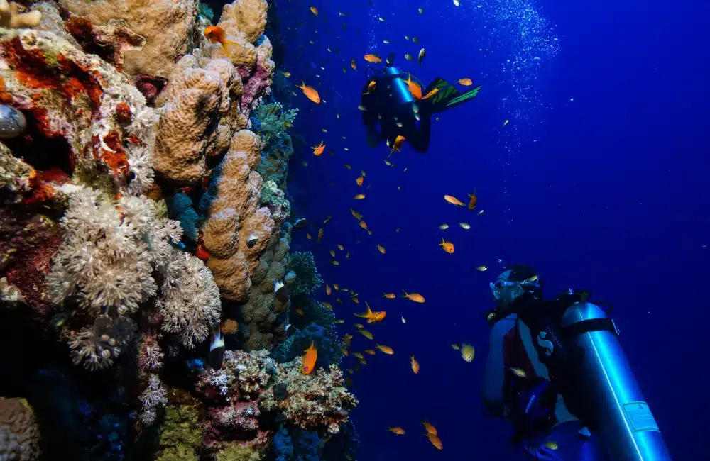 Chumphon Pinnacle