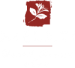 logo_v07